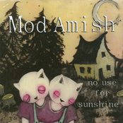 The One I Want by Mod Amish