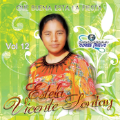 Que Buena Esta La Fiesta, Vol. 12