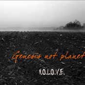 N.O.L.O.V.E.