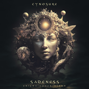 Sadeness Enigma Cover Album