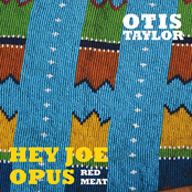 They Wore Blue by Otis Taylor