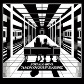 Buffalo Hunt: Anonymous Pleasure