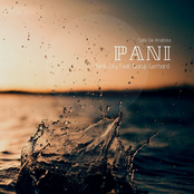 Pani