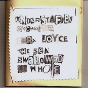 Understaffed Orchestra/The Sea Swallowed Us Whole/Ezra Joyce