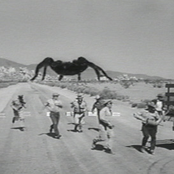 The Tarantula Cometh