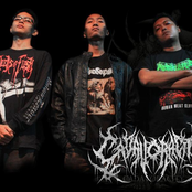 cadavoracity