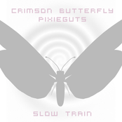 Slow Train (single)