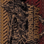 Indonesian Brutality