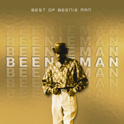 the best of beenieman