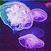 Tiger House: Geodyssey