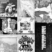 DJ CALIFORNIA CRISIS COLLECTED WORKS