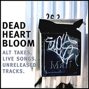 All Things Lost by Dead Heart Bloom