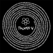 Thalamus IV