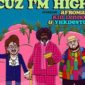 Cuz I'm High