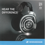 Sennheiser HD 800 Klang Von Meisterhand