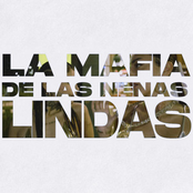 La Mafia de las Nenas Lindas
