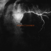 Perfect Hatred