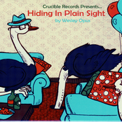 Hiding In Plain Sight