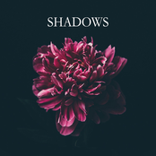 Shadows