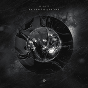 Perturbations