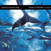 私はあなたの反対多数だ eccowave ／／ DMT-030