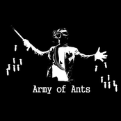 army of ants