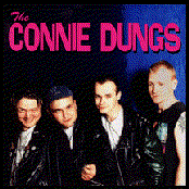 Used To Be Cool by The Connie Dungs