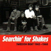 Searchin' For Shakes