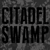 citadel swamp