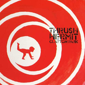 The Day We Hit The Coast by Thrush Hermit