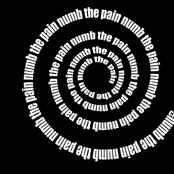 Numb the Pain