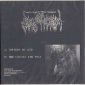 The Castles Far Away by Skepticism