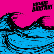 Chaos Surfari