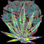 𝚎𝚕 𝚍𝚎𝚜𝚎𝚘 †𝚎 𝚌𝚘𝚗𝚜𝚞𝚖𝚎