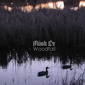 Woodfall Album Picture