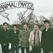 Animal Parts