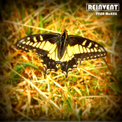 Reinvent