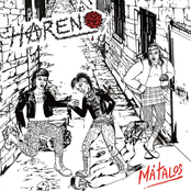 Harén (DEMO)