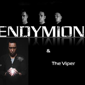 the viper & endymion