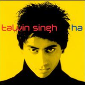 Mustard Fields by Talvin Singh