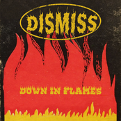 Down In Flames