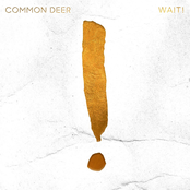 Common Deer: WAIT!