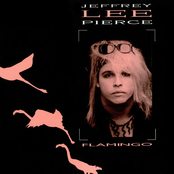 Fire by Jeffrey Lee Pierce