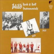 Wild Rock & Roll Instrumentals