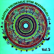 Electric Psychedelic Sitar Headswirlers Vol.3