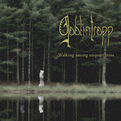 Walking among unquiet trees