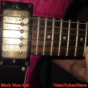 Veins / Xylem / Sinew