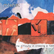 The Difficulty In Crossing A Field