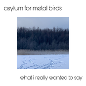 What I Really Wanted To Say