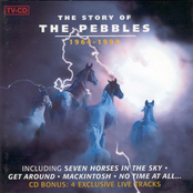 The Story Of The Pebbles [1964-1994]
